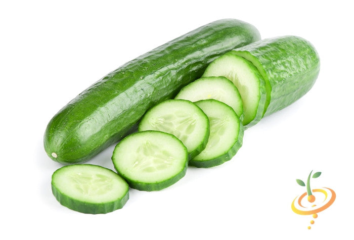 Fresh green cucumber from Ashley Seeds by SeedsNow, showing smooth skin and elongated shape on a white background.