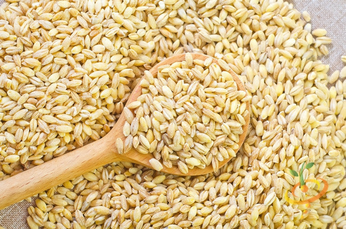 Fresh wheat grass sprouts from SeedsNow, showcasing vibrant green microgreens in a natural, healthy growth stage.