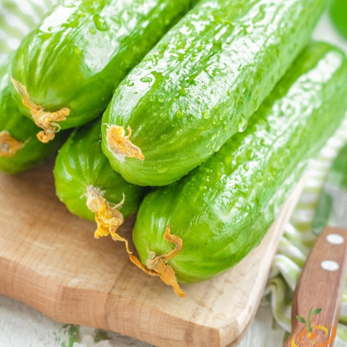 Order Muncher Cucumber seeds online from the USA. Perfect for munching right out of the garden! Open-pollinated USA-quality, Heirloom, NON-GMO organic seeds & more!