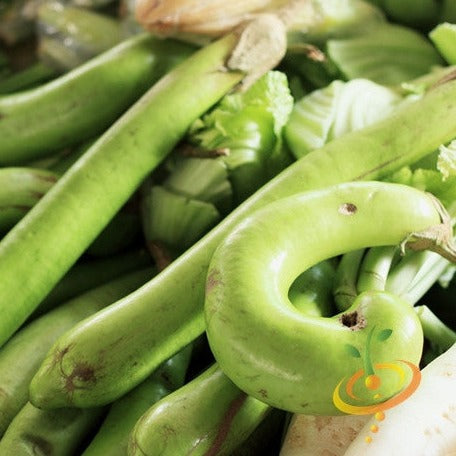 Long green Louisiana eggplant (aubergine) from SeedsNow, showing fresh, elongated vegetable with smooth green skin.