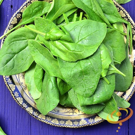 Fresh green Noble Giant spinach leaves on decorative plate