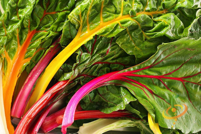 Rainbow Swiss Chard seeds from SeedsNow, showing vibrant colorful chard leaves and stems ready for planting.