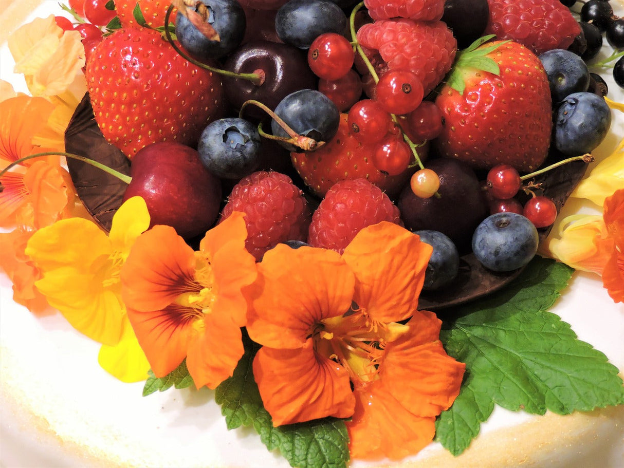 Nasturtium Glorious Gleam flower seeds, vibrant orange blossoms with green foliage, shown in a natural setting.