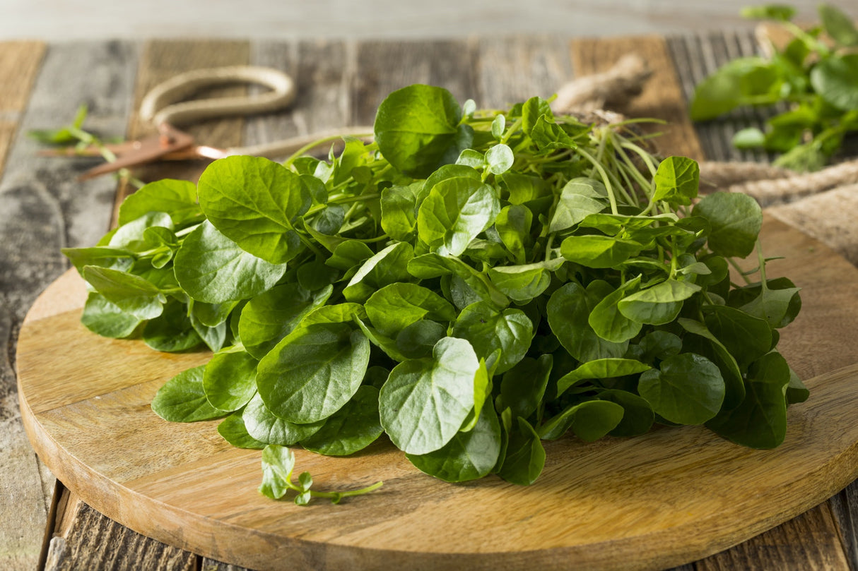 Fresh True Watercress leaves on wooden cutting board
