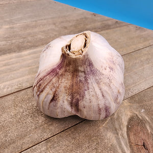 Garlic - (Hard Neck) Russian Red