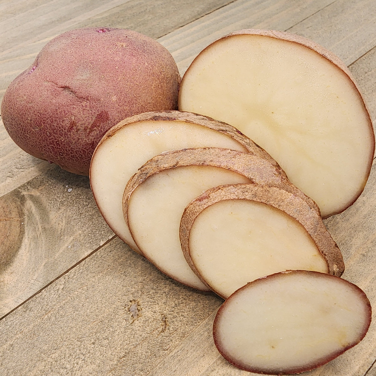 Potato (Mid-Season) - Norland, Dark Red (Organic rounds)