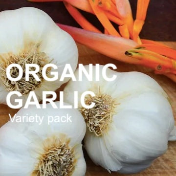 Organic Garlic (Soft-neck) Garden Variety Pack