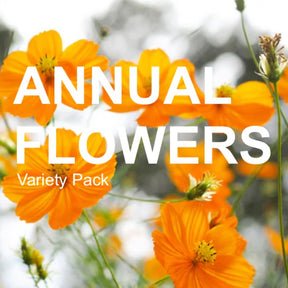 All-in-One Annual Flower Garden Variety Pack featuring colorful blooms from SeedsNow-SeedBanks, ideal for vibrant garden displays.