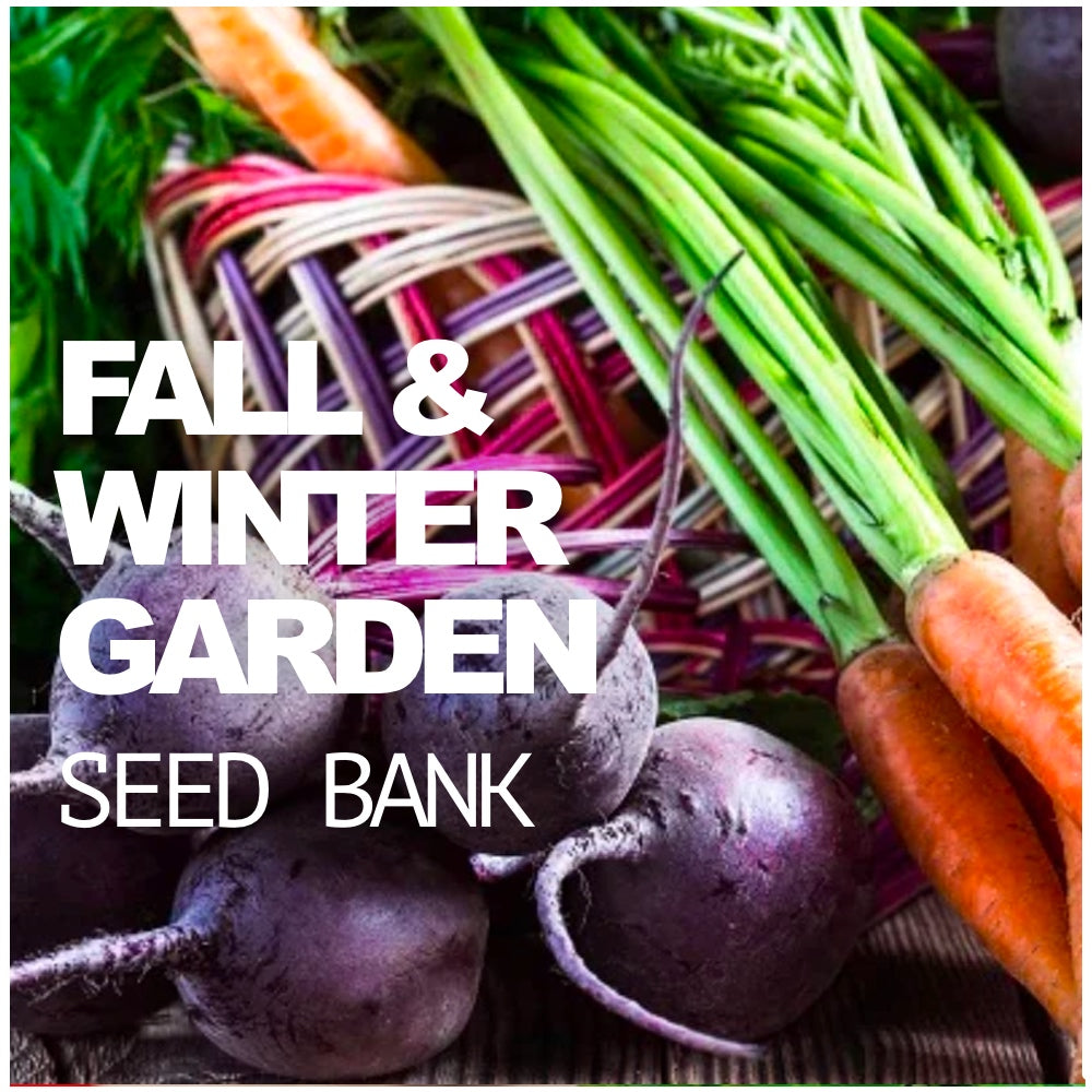 All-in-One Fall/Winter seed bank by SeedsNow-SeedBanks, featuring storage containers for storing seeds during colder months.