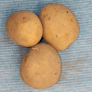 Potato (Mid-Season) - German Butterball (Organic rounds)