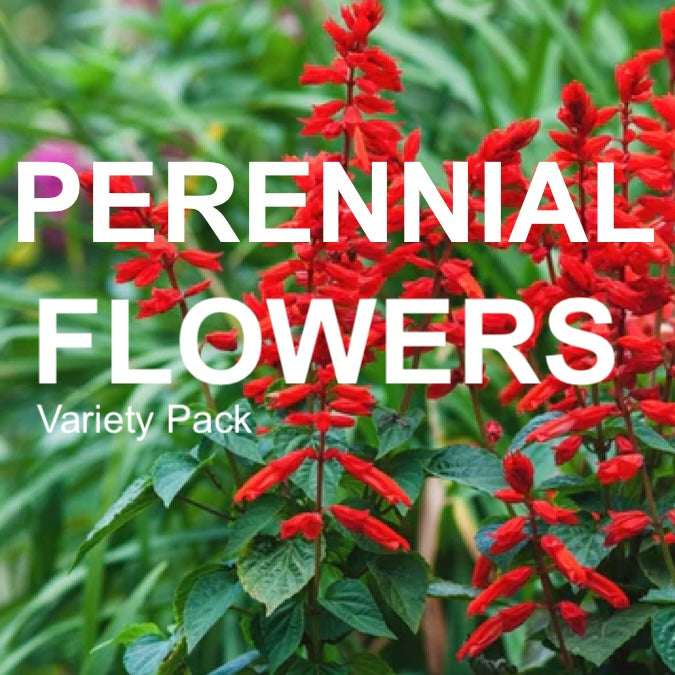 All-in-One Perennial Flowers Variety Pack