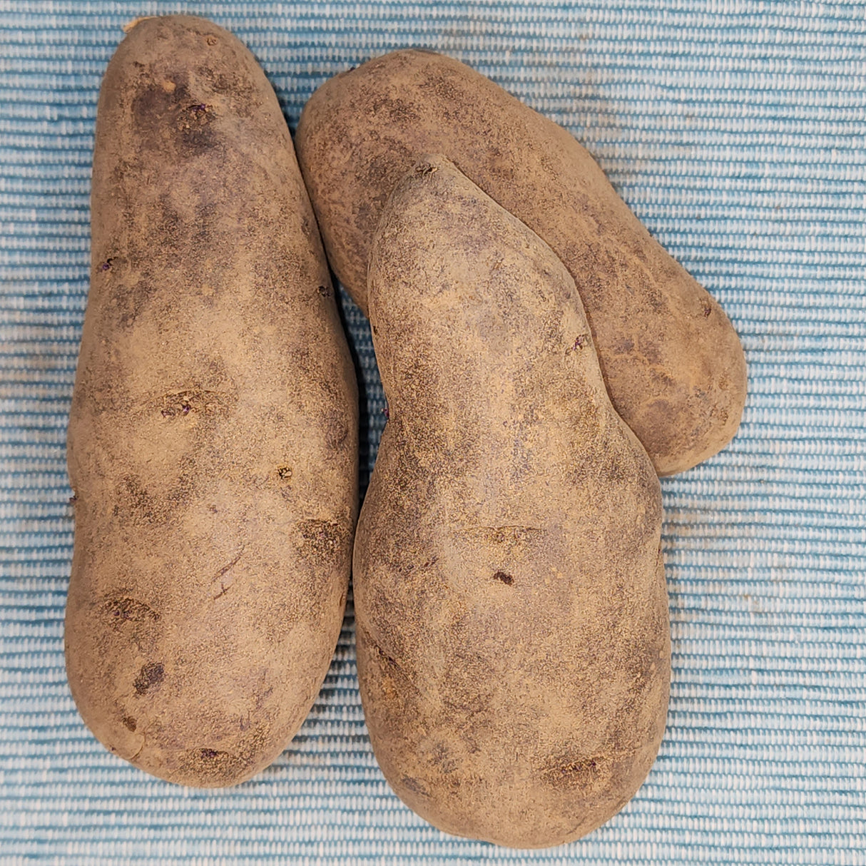 Potato, Fingerling (Late-Season) - Purple