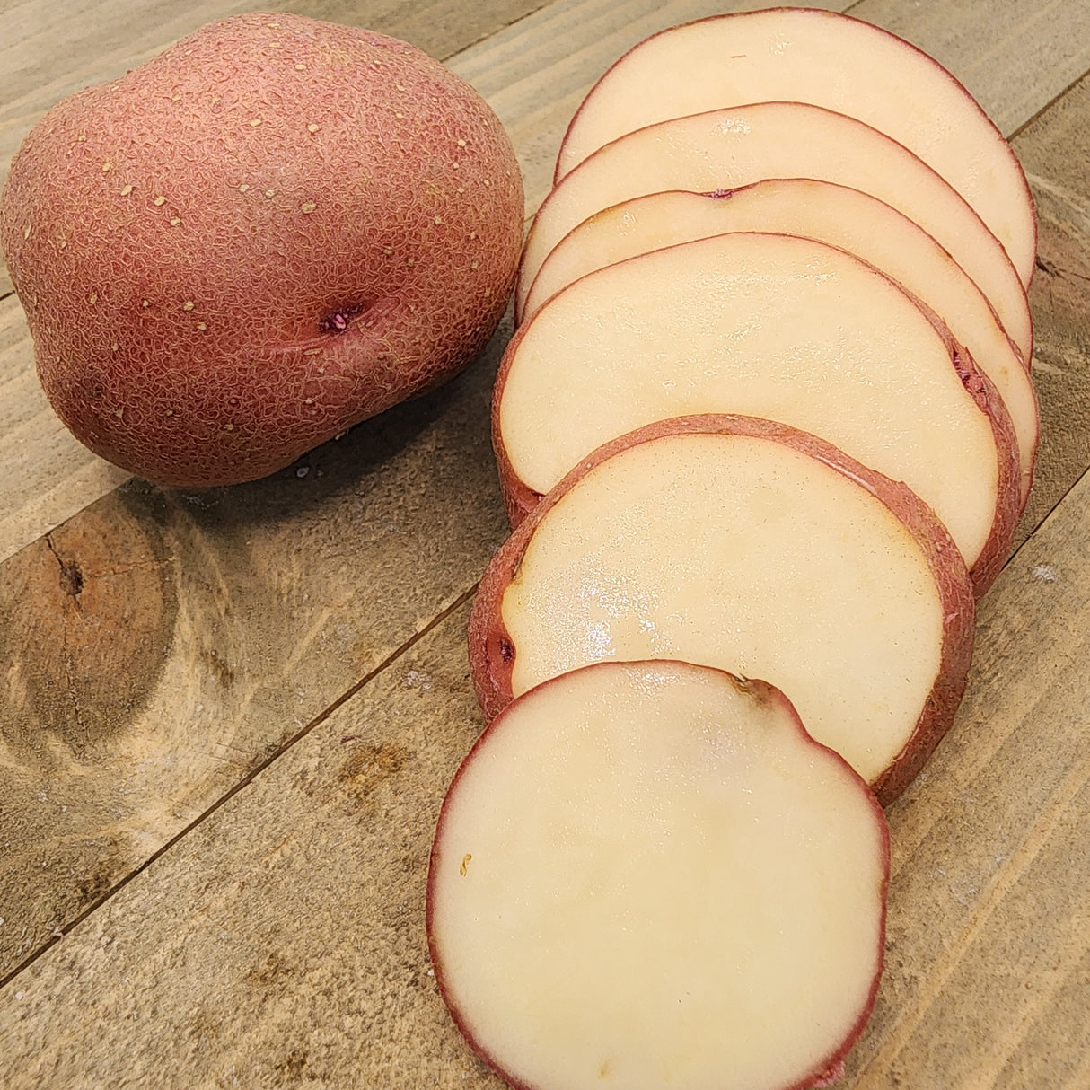 Potato (Mid-Season) - Red Pontiac (Organic rounds)