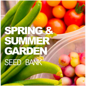 All-in-One Spring Summer Seed Bank from SeedsNow-SeedBanks showing various seed packets in organized storage.
