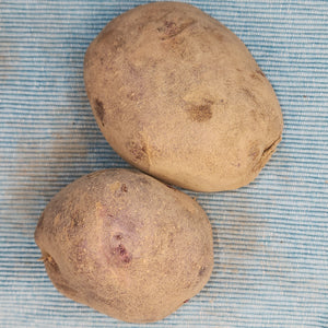 Potato (Early-Season) - Viking, Purple (Organic rounds)