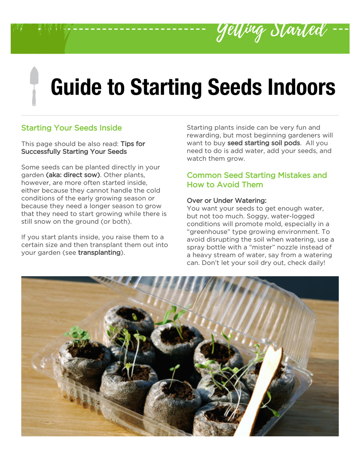 *FREE* ORGANIC GARDENING GROW GUIDES eBOOK - SeedsNow.com