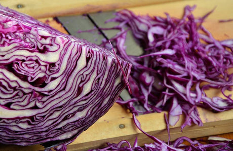 Red Acre cabbage seeds by SeedsNow, close-up of vibrant red cabbage seeds on a white background.