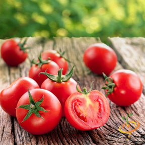 Tomato Ace 55 determinate seeds from SeedsNow, showing vibrant, healthy tomato seeds in a packet for planting.