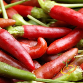 Bird's Eye hot pepper seeds from SeedsNow, showcasing vibrant seed packets for spicy all pepper seeds collection.