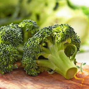 Fresh green broccoli heads from SeedsNow, showcasing tightly clustered florets and sturdy stems on a white background.