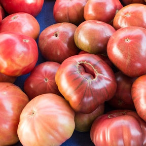 Pink Brandywine indeterminate tomato seeds from SeedsNow, featuring ripe, pink, heirloom tomatoes on a vine.