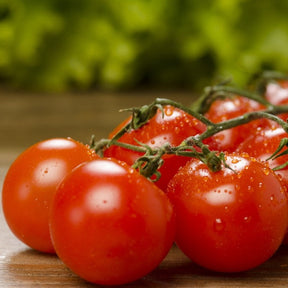 Red large cherry tomato indeterminate seeds from SeedsNow, showing vibrant ripe cherry tomatoes on the vine.