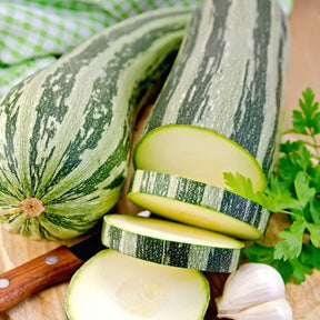 Fresh summer squash from SeedsNow, featuring bright green Caserta squash with smooth skin and tapered shape.