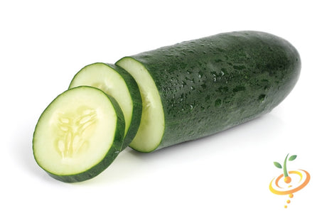 Fresh green cucumber with straight shape and SeedsNow branding, showing vibrant skin and crisp texture.