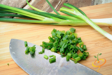 Tokyo Long White onion scallion seeds from SeedsNow, showing fresh bunching onion seeds in a clear package.