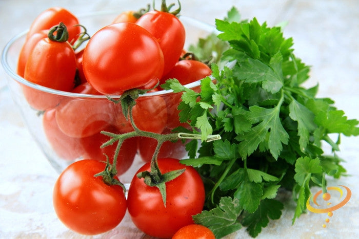 Parsley - Dark Green Italian Giant.