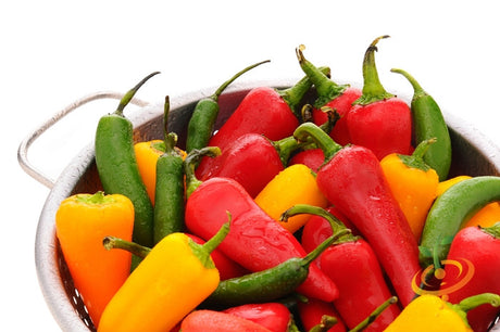 Close-up of bright green Serrano Tampiqueno hot pepper seeds from SeedsNow on a white background.