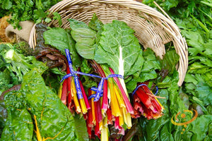 Swiss Chard - Canary Yellow - SeedsNow.com