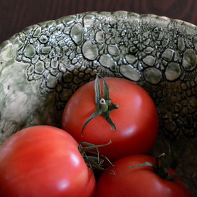 Calypso indeterminate tomato seeds from SeedsNow, showcasing vibrant green tomato plants with ripe red tomatoes hanging on the vine.