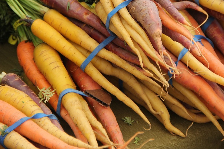 Carrot - Heritage Rainbow Blend - SeedsNow.com