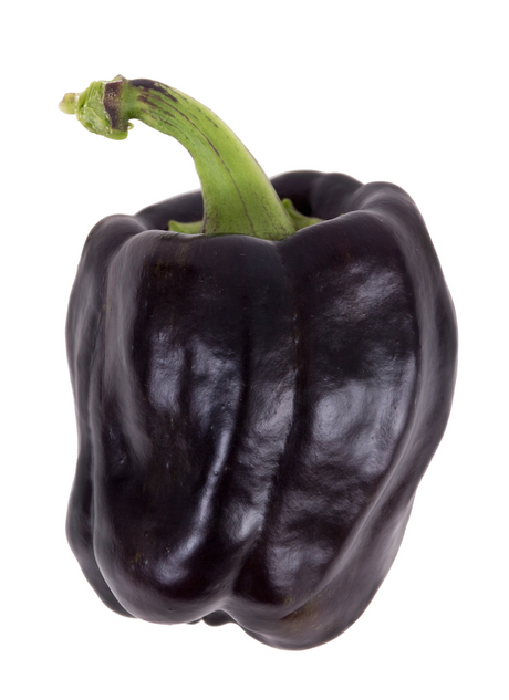 Sweet chocolate bell pepper seed from SeedsNow, showing vibrant, ripe chocolate-colored bell pepper on the plant.