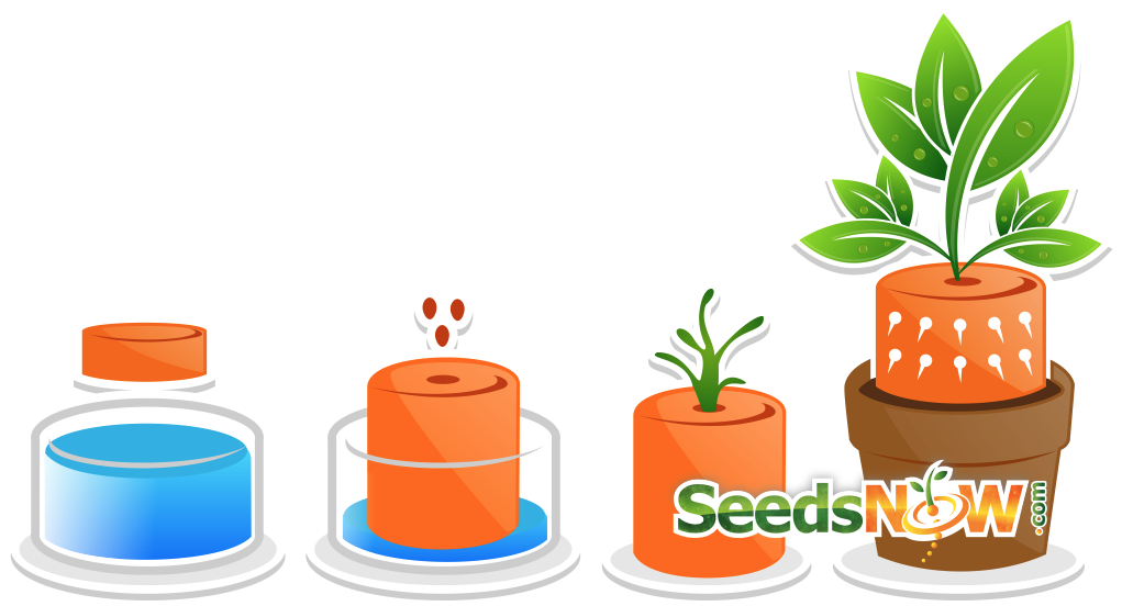 Free All-in-1 Seed Starter Kit with soil, ideal for beginning gardeners and plant propagation.