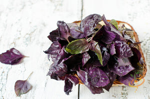 Basil - Dark Opal Purple.