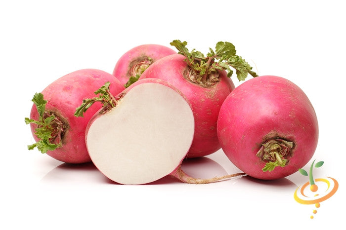 Radish - Beauty, Pink.